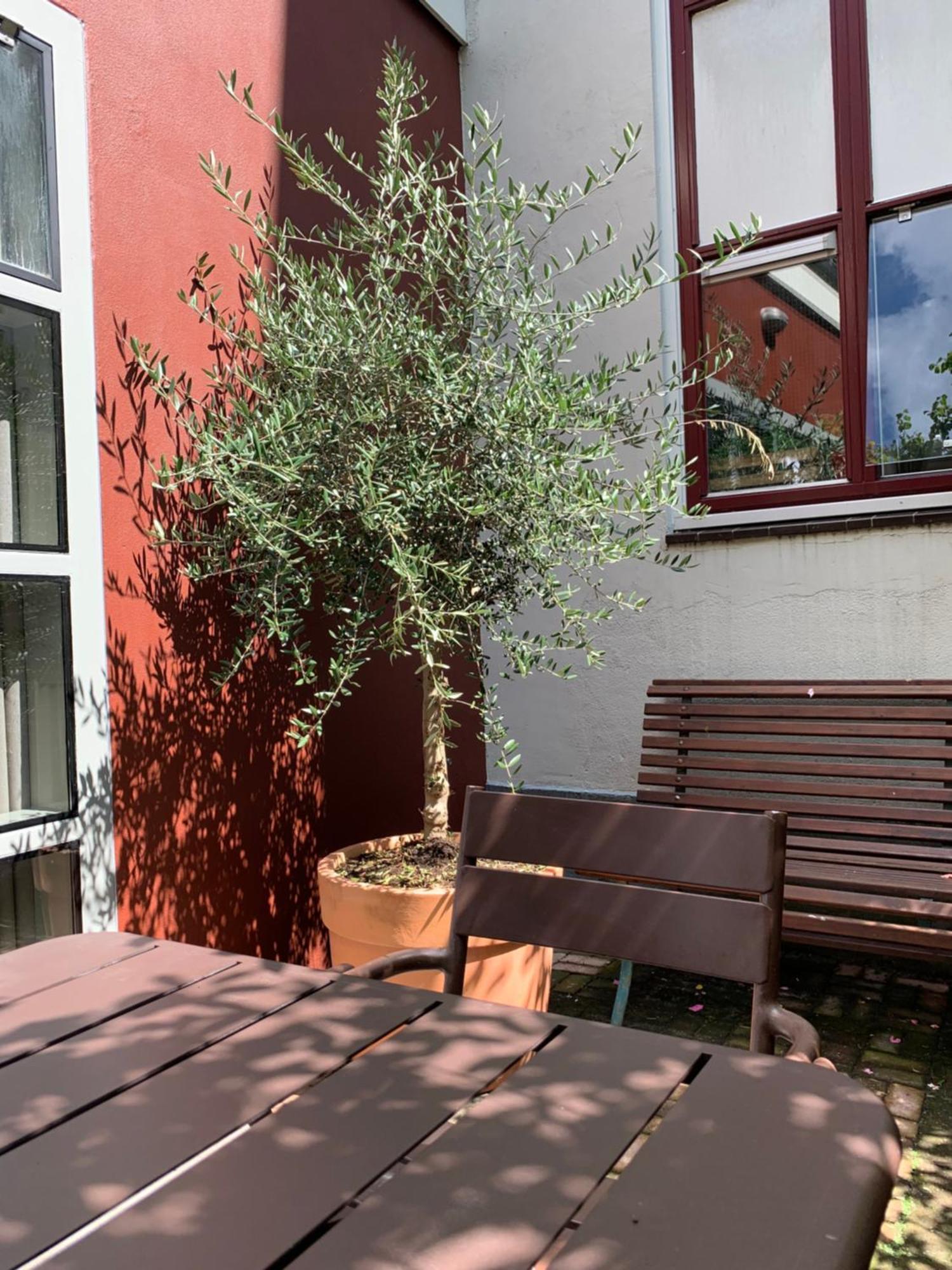 Zocher6 Bnb A Monumental Town House In The City Center Utrecht Luaran gambar